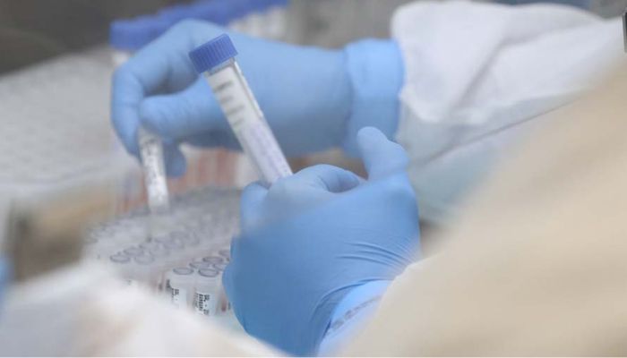  Estado, Cedca e MPPR disponibilizam 2 mil exames gratuitos de DNA para população